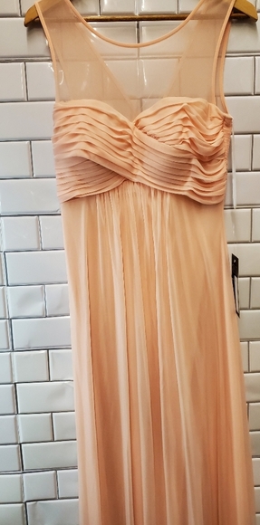 Nwt Eva Ladies Evening Formal Sleeveless Maxi Dress Sheer Neckline Pleated Bodic - Picture 1 of 7